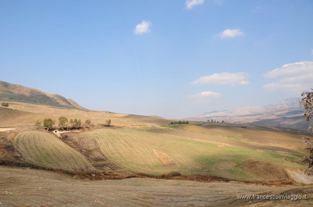 DSC_1891.JPG