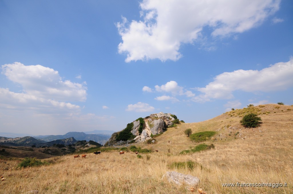 DSC_1960.JPG