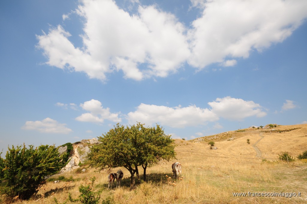 DSC_1963.JPG