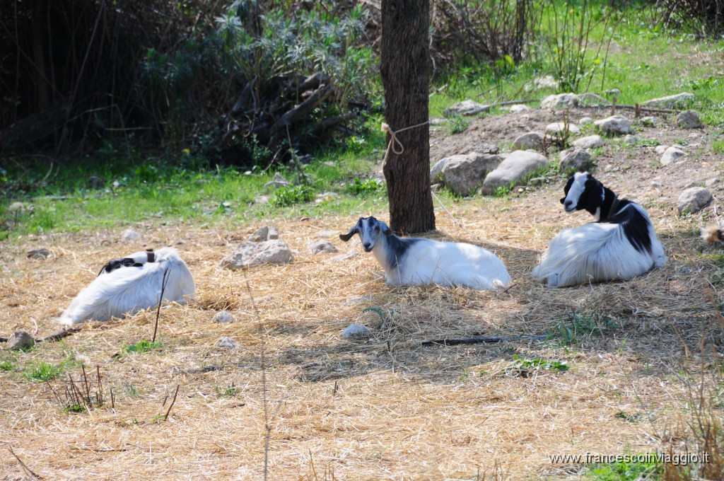 DSC_2138.JPG