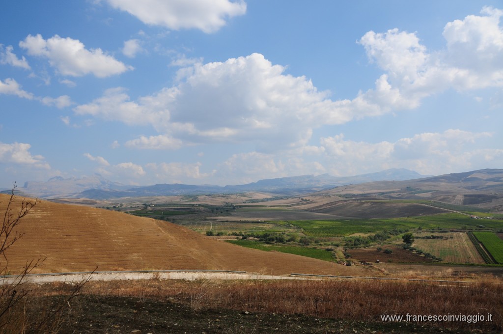 DSC_2214.JPG