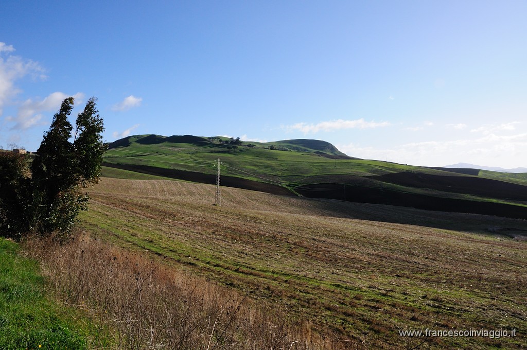 DSC_7089.JPG