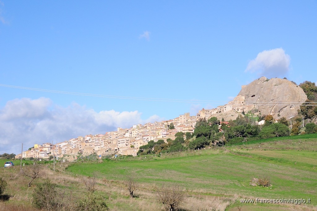 DSC_7165.JPG