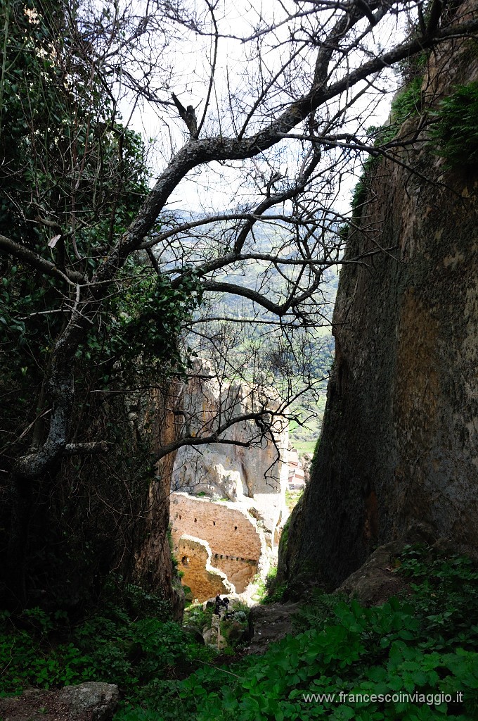 DSC_7265.JPG