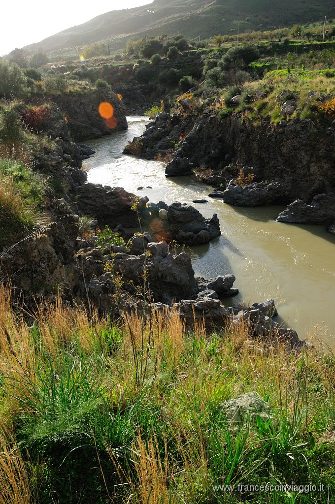DSC_7445.JPG