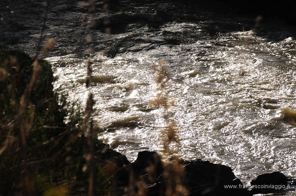 DSC_7499.JPG