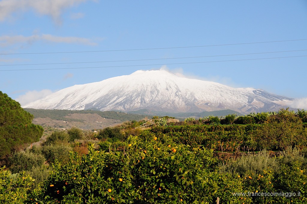 DSC_7503.JPG