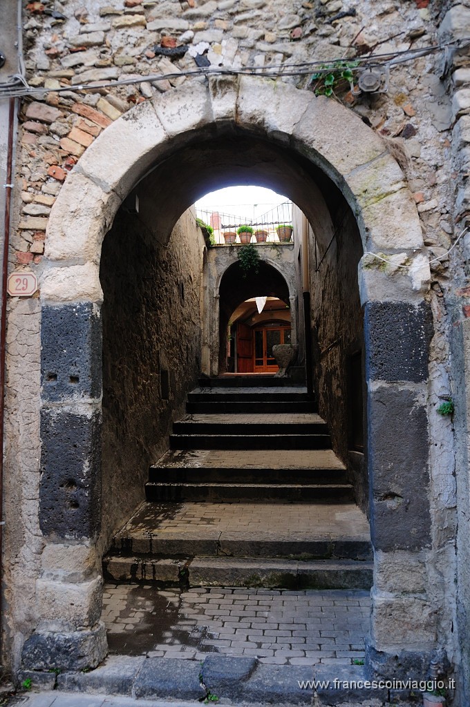 DSC_7519.JPG