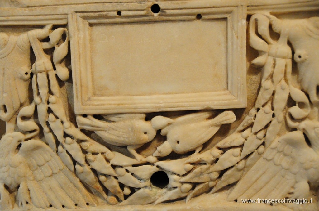 DSC_7636.JPG