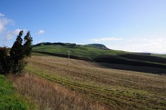 DSC_7089