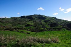 DSC_7120
