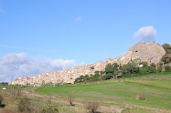 DSC_7165