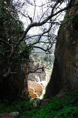 DSC_7265