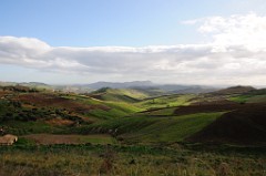 DSC_7411