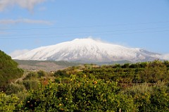 DSC_7503