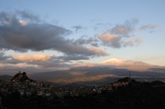 DSC_7565