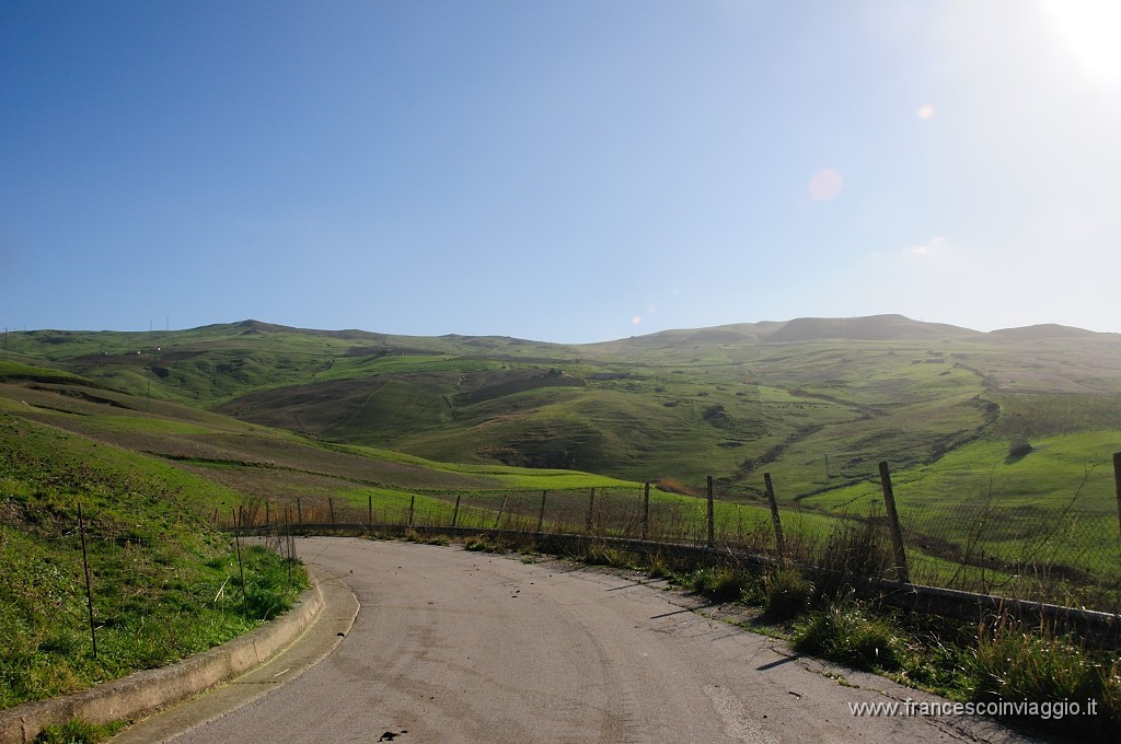 DSC_9584.JPG