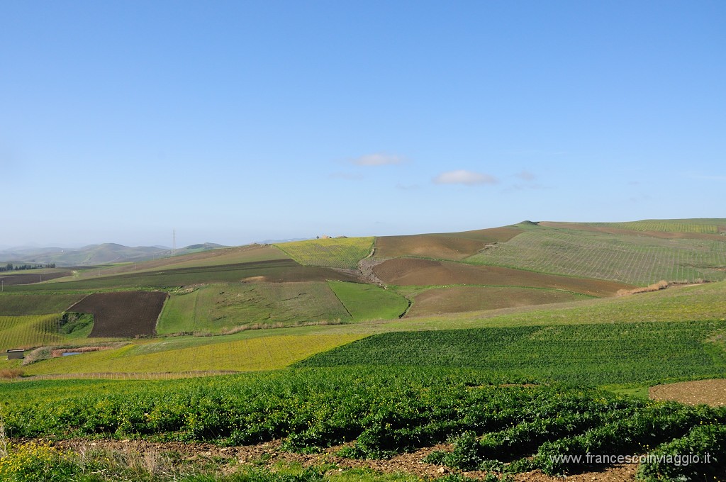 DSC_9602.JPG