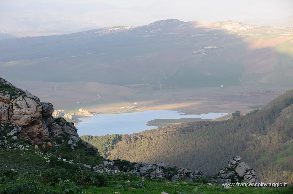 DSC_9829.JPG