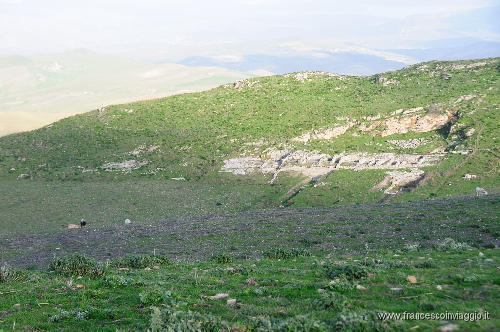DSC_9840.JPG