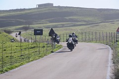 DSC_9567
