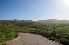 DSC_9584