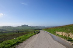 DSC_9601