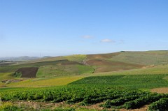 DSC_9602