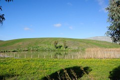 DSC_9627
