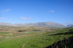 DSC_9647