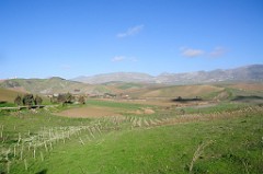 DSC_9648