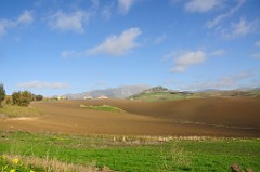 DSC_9649