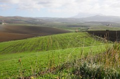 DSC_9650