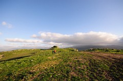 DSC_9836