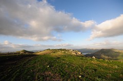 DSC_9837