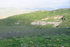 DSC_9840