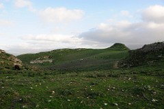 DSC_9848