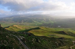 DSC_9909
