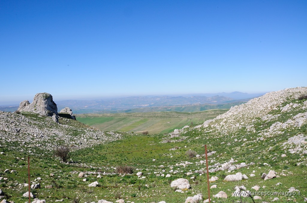 DSC_2102.JPG
