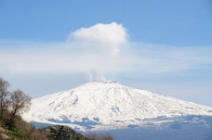 DSC_3359