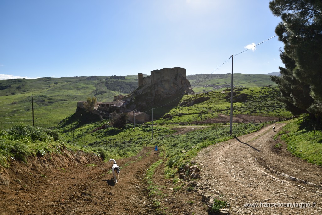 44DSC_0098.JPG