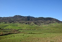 19DSC_0063