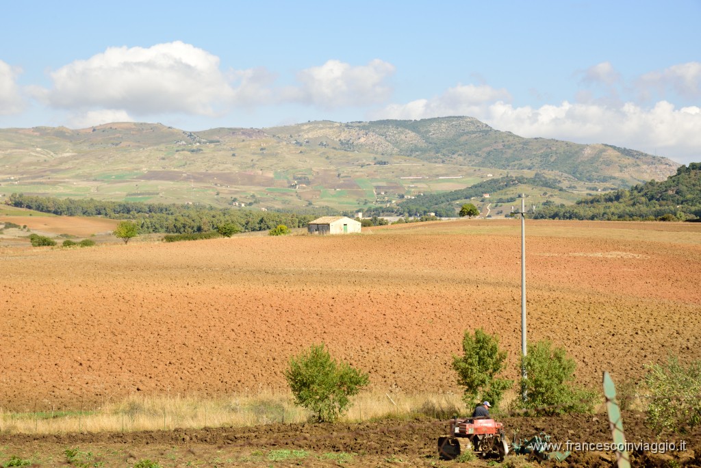DSC_7790.JPG