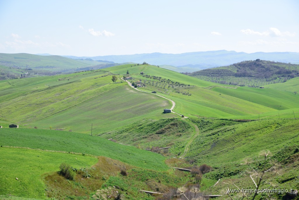 DSC_2237.JPG