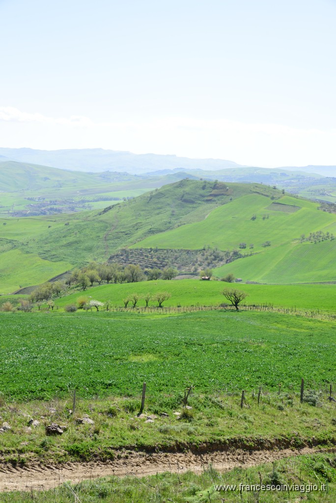 DSC_2263.JPG