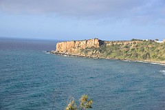 DSC_2464