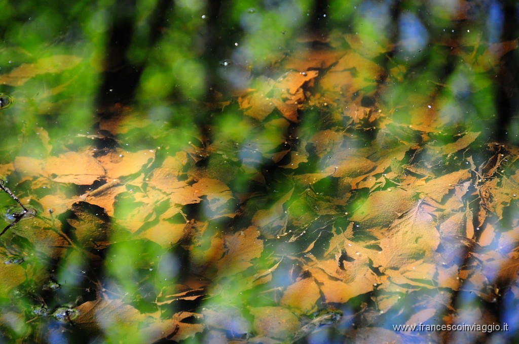 DSC_0243.JPG