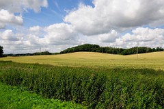 _DSC2525