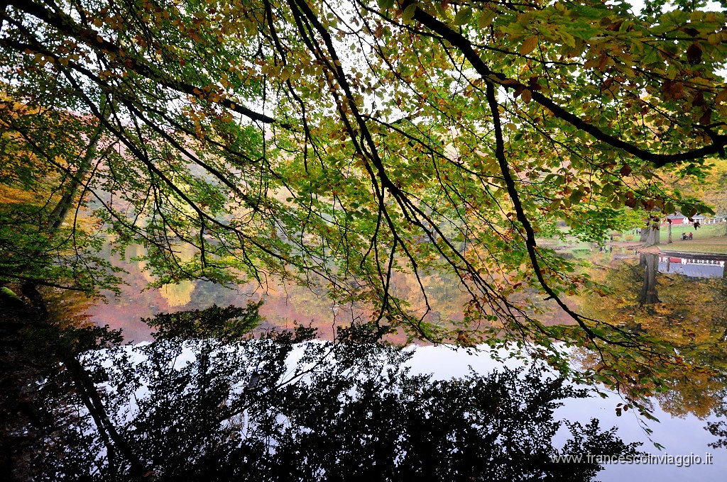 _DSC8870.JPG