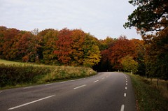 _DSC8845